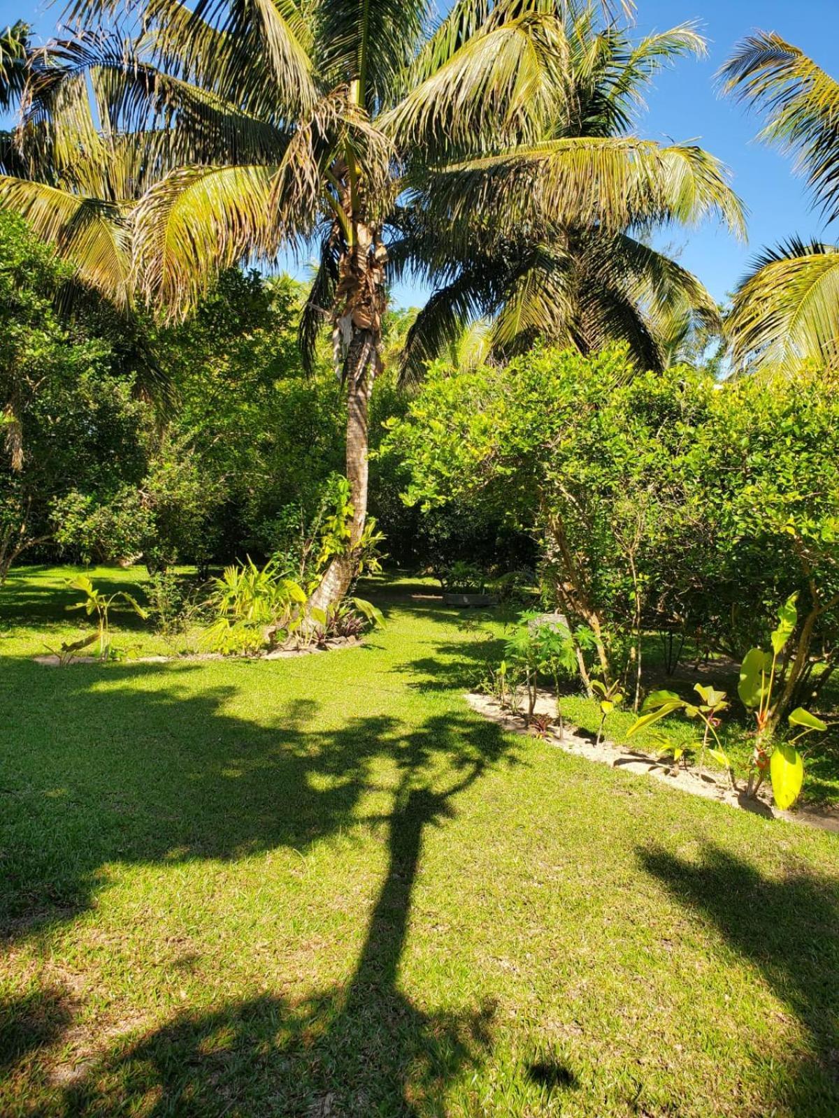 Les Citronniers Bed and Breakfast Ile Sainte-Marie Buitenkant foto