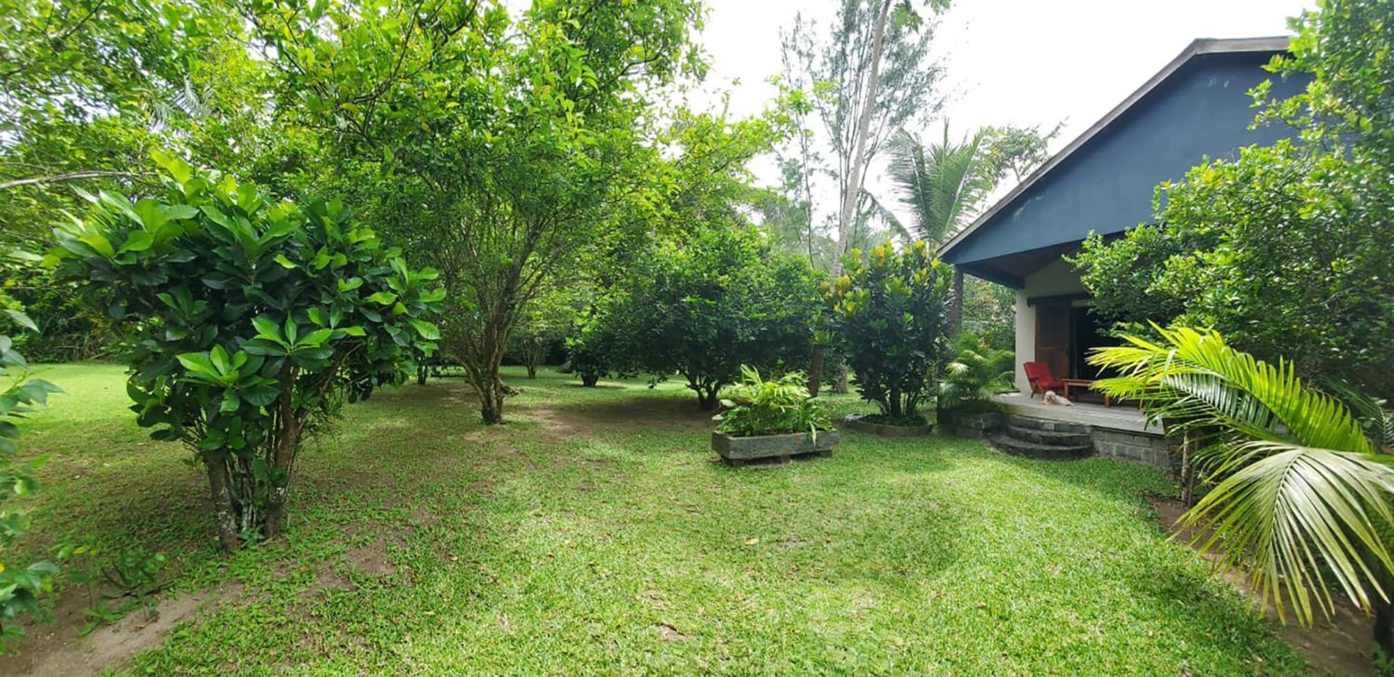 Les Citronniers Bed and Breakfast Ile Sainte-Marie Buitenkant foto